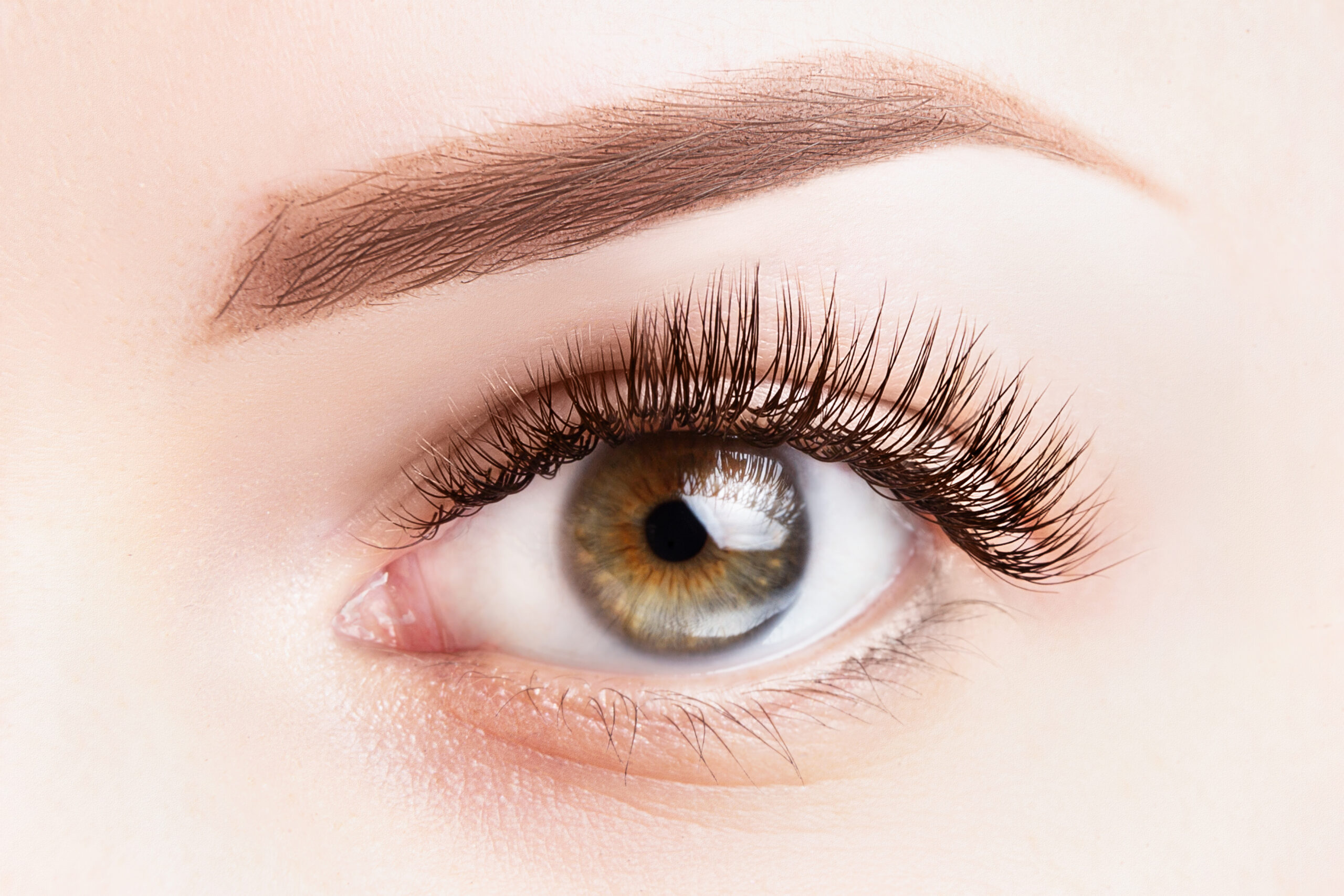 Female eye with long eyelashes. Classic eyelash extensions and light brown eyebrow close-up. Eyelash extensions, lamination, microblading, tattoo, permanent, cosmetology concept.